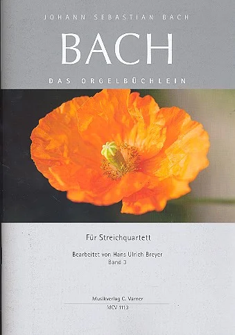 klavierhaus-bockelmann-4635908