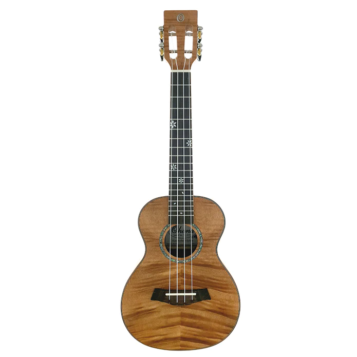 musik-wittl350886