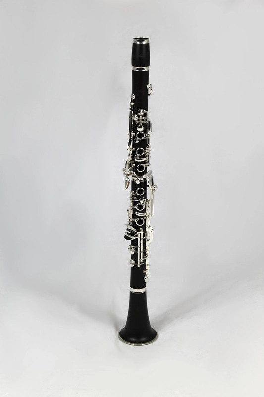 musik-wittl354297
