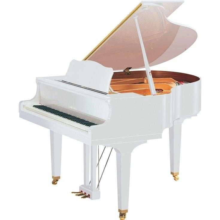 musik-wittl361116