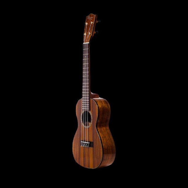musik-wittl371663