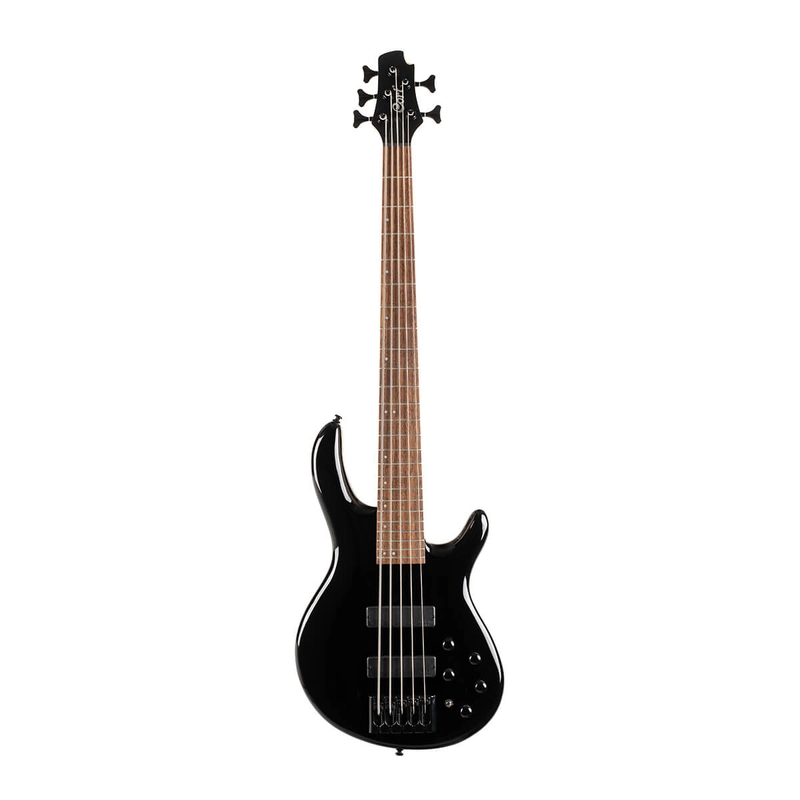 musik-wittl380207