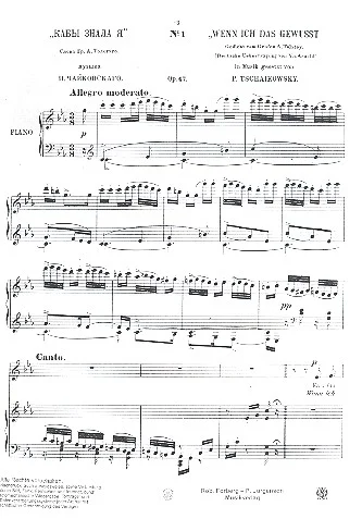 reisser-musik-11817214