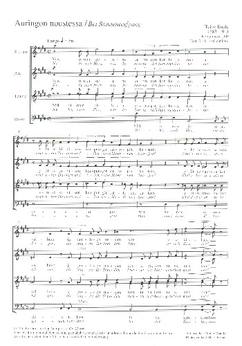 reisser-musik-21061618