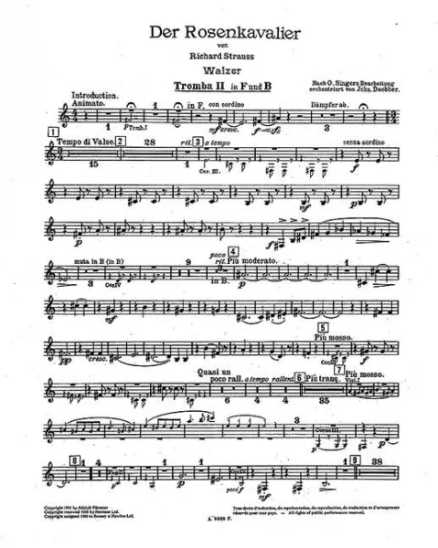 reisser-musik-21304481