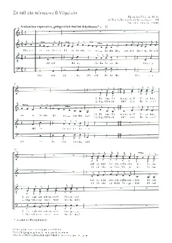 reisser-musik-2304989