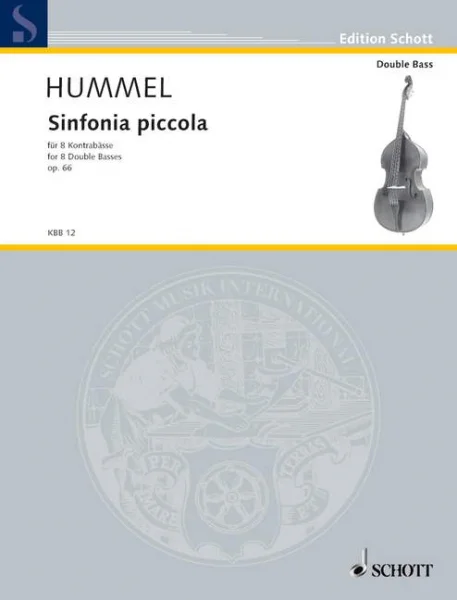 reisser-musik-2983838