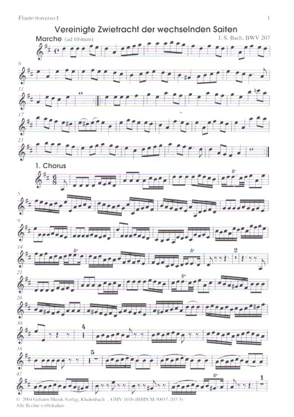 reisser-musik-31132107