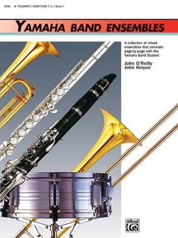 reisser-musik-3882191