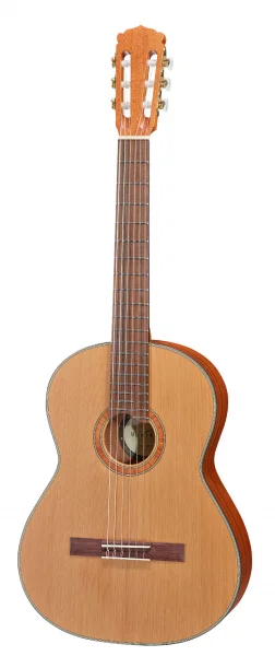 reisser-musik-51204235