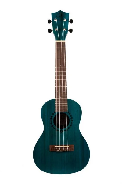 reisser-musik-5548738