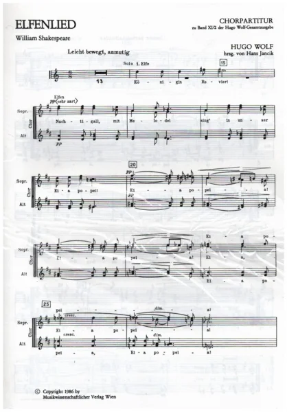 reisser-musik-5556817