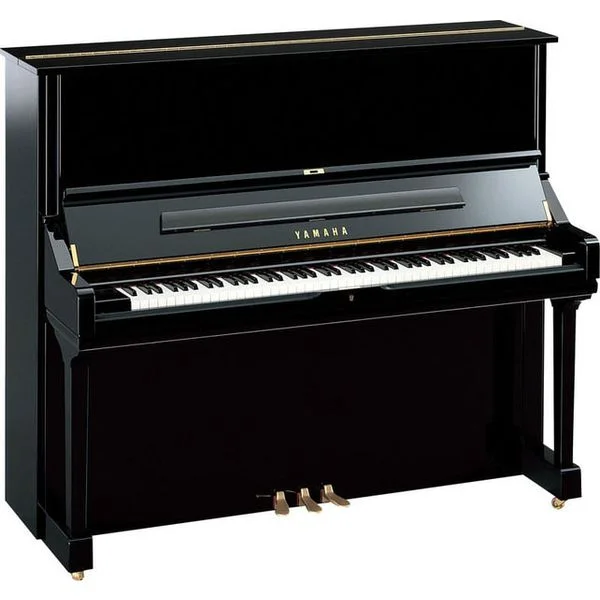 thomann-1686264