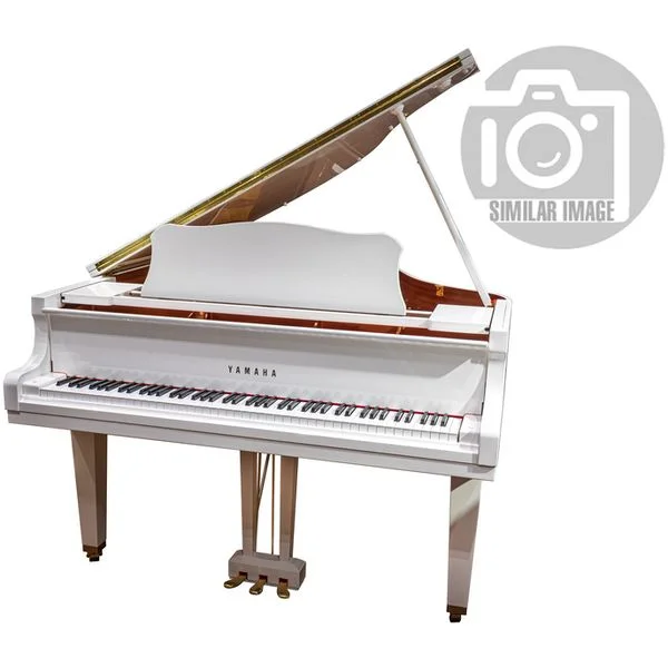 thomann-1869272
