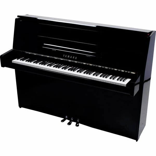 thomann-1891780