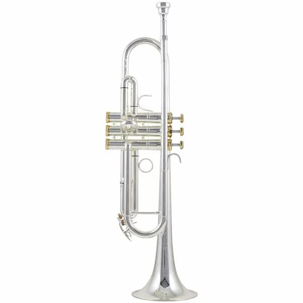 thomann-1927308