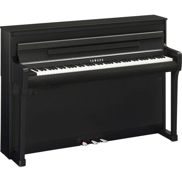 thomann-3630508