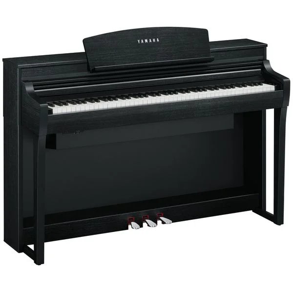 thomann-3762132