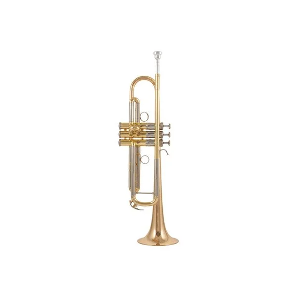 thomann-3766538